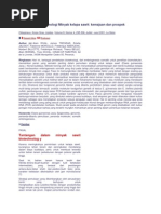 Download Bioteknologi Bioteknologi Minyak Kelapa Sawit by Nurul Huda Panggabean SN209532148 doc pdf