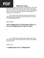 Dihybrid Problems (KEY)