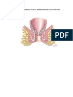 Anatomy & Physiology of The Human Rectum and Anus