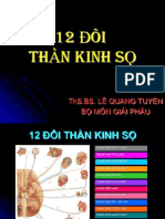 12 ĐÔI THẦN KINH SỌ