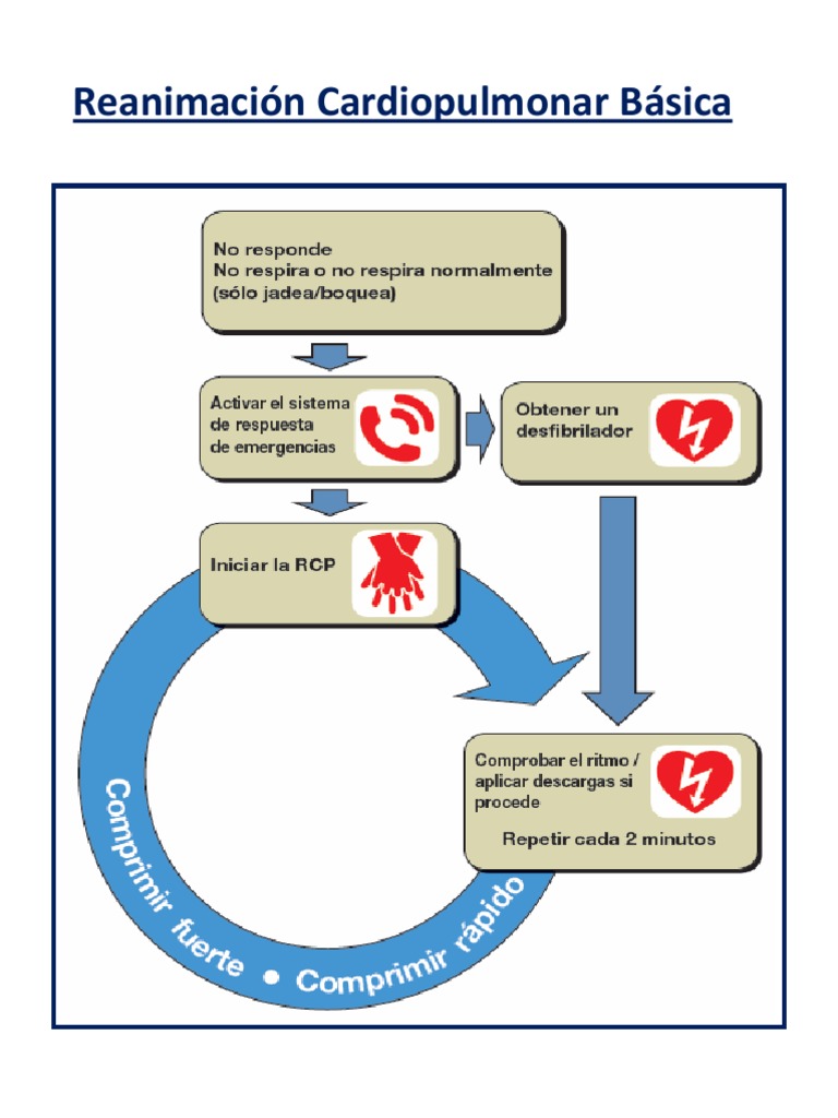 Algoritmo RCP AHA 2024: Pasos Clave | PDF | Reanimación cardiopulmonar ...
