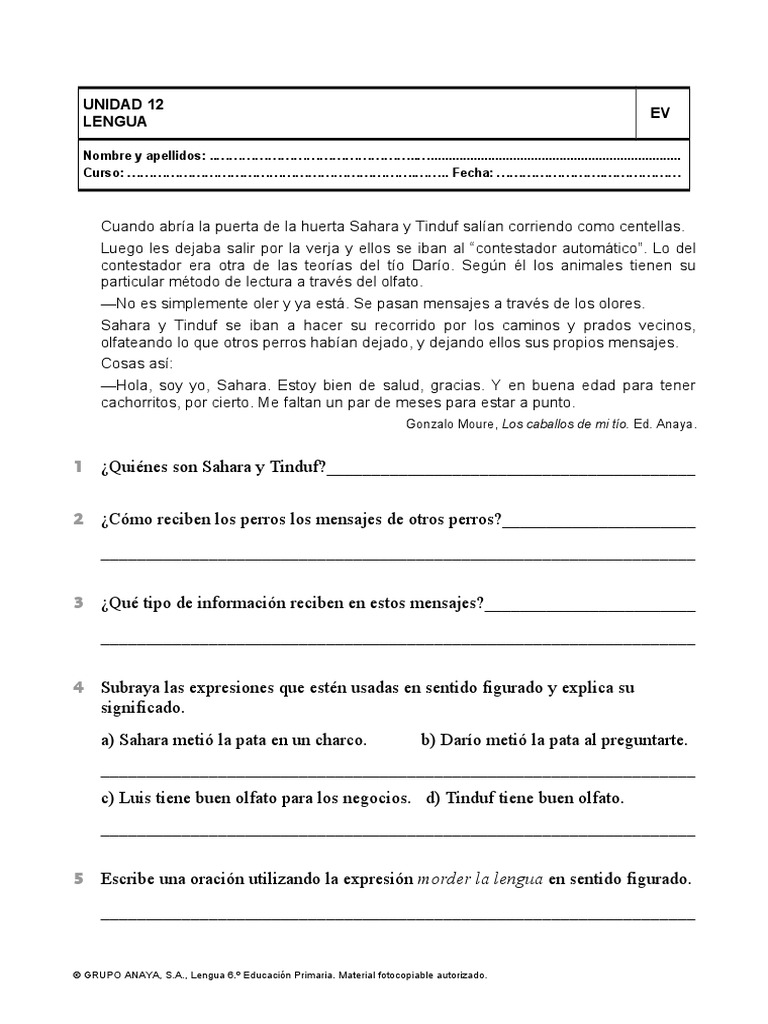 12 | PDF | Artes del Lenguaje y Comunicación | Estudios de idiomas ...