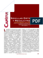 Semillas Ortodoxas y Recalcitrantes