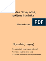 02 Nos Grkljan Dusnik