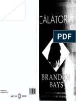 Brandon Bays - Calatoria