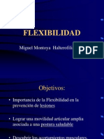 Flexibilidad l