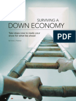 Down Economy: Surviving A