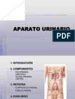 APARATO URINARIOnhj