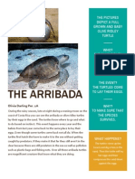 The Arribada