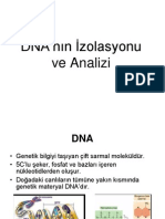 Konu5-DNA Izolasyonu