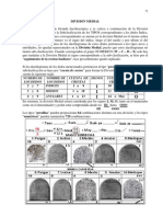 División medial dactiloscópica-subclasificación tipos dedos