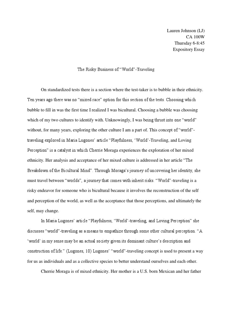 Traveling essay image