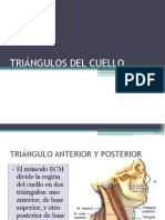 Triangulos Del Cuello y Aponeurosis Cervical