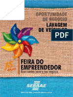 Sebrae Ecolavagem Final