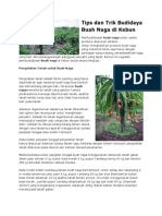 Download Tips dan Trik Budidaya Buah Naga di Kebunpdf by Dadi Kempot Bilang SN209736657 doc pdf