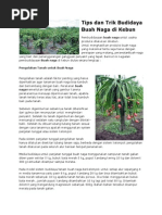 Download Tips dan Trik Budidaya Buah Naga di Kebunpdf by Dadi Kempot Bilang SN209736657 doc pdf