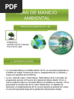 Plan Manejo Ambiental