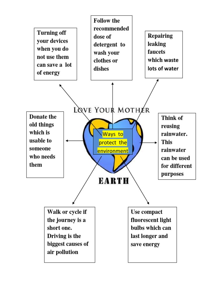 Ways to Protect the Environment | PDF | Home & Garden | Wellness