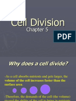 Cell Division 100