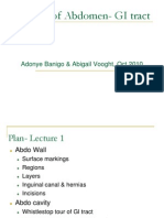 Anatomy Gitract 101012153006 Phpapp02