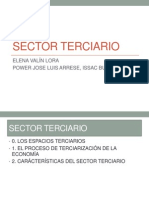 Sector Terciario 2