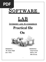 Software Lab: Practical File On