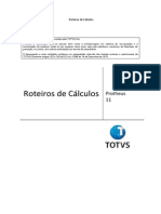 Roteiros de Cálculos_P11.docx