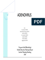 Adenovirus New