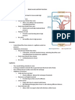 Blood Vessels and Their Functions