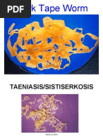 Download Teania by sentot SN2098223 doc pdf