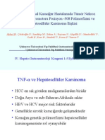 Kronik Parankimal Karaciğer Hastalarında Tümör Nekroz Faktör-α Geni Promotoru Pozisyon