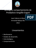 Biología de Prodiplosis longifila Gagné