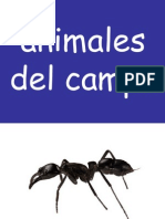 1 Animales Del Campo (1)