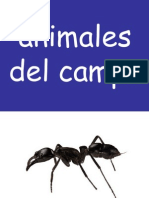 1 Animales Del Campo