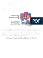 Sistema de Conducción Eléctrica Del Corazón