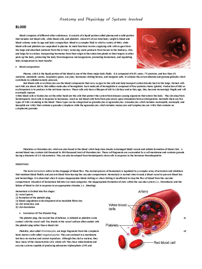 Anatomy and Physiology of Blood | PDF | Platelet | Coagulation