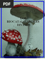 Los biocatalizadores divinos