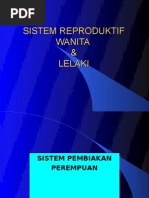 Sistem Reproduktif A (Lelaki&Pompuan) A