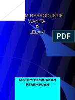 Sistem Reproduktif A (Lelaki&Pompuan) A