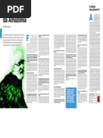 Vicente Franz Cecim ENTREVISTA Um Anjo-árvore da Amazônia