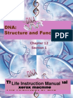 DNA Structure + Function