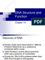 DNA Structure and Replication