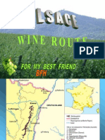 Alsace Wineroute