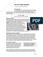 Nitrogen Fixation by Forage Legumes