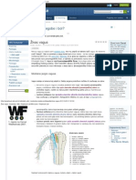 Živac Vagus - Anatomija - Wiki - Perpetuum Lab Wiki Sustav - Perpetuum Lab