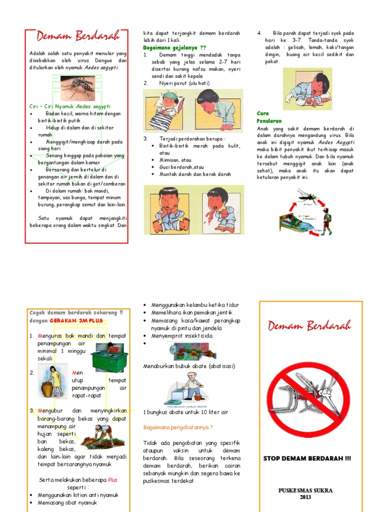 Leaflet DBD 2 Penyuluhan.doc