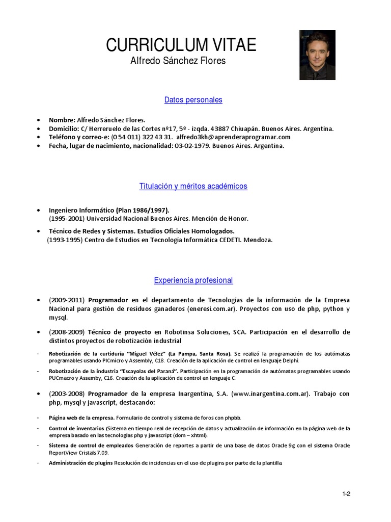 Curriculum vitae template image