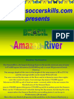 Amazon River