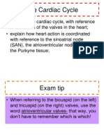 As 1 2 2 Cardiac Cycle