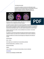 Estudios de Neuroimagen en La Demencia Vascular